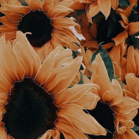 favorite flower